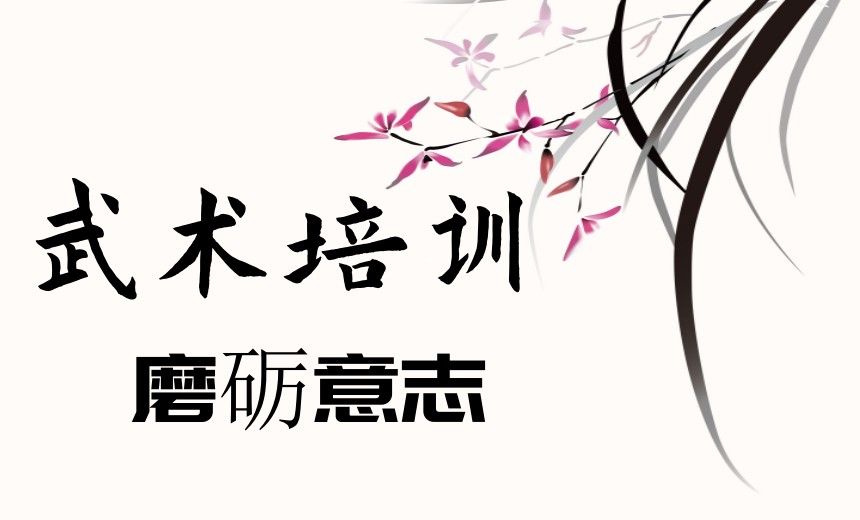 十大人气榜南京散打武术培训班2025top10一览名单出炉.jpg
