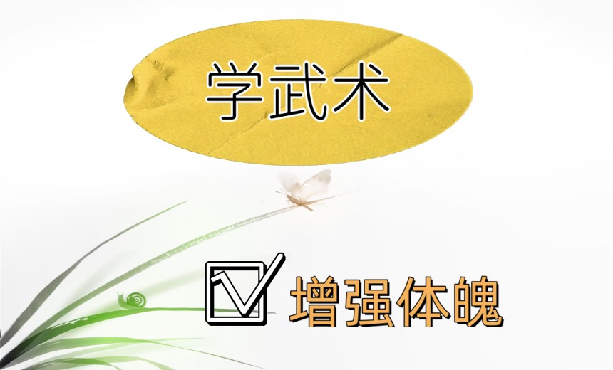 10大南京正规武术体能训练班实力排名2025更新.jpg