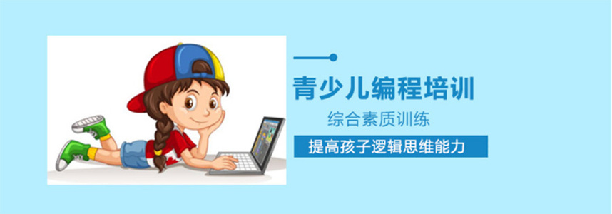 小码王编程