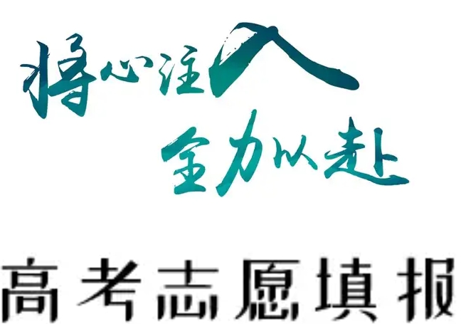 高考志愿填报服务机构