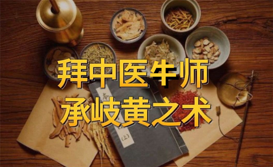 中医专长技能培训学校