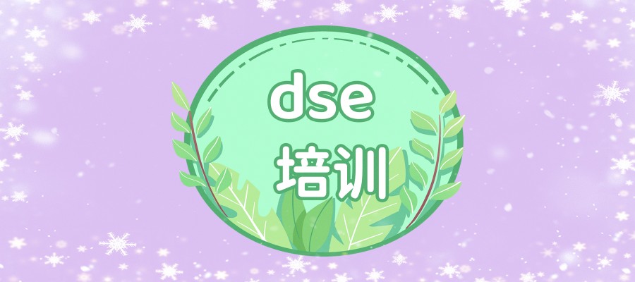 dse培训比较厉害的学校热推|2025香港DSE课程招生简章！