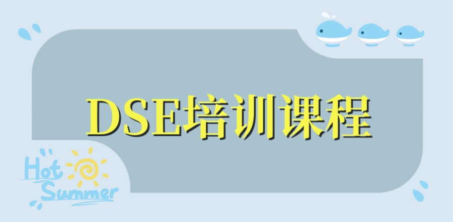 2025dse培训报考条件！