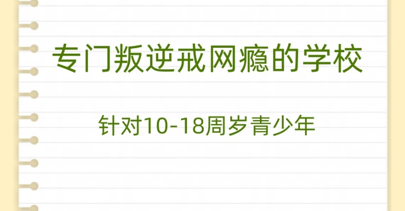 封闭式叛逆少年戒网学校