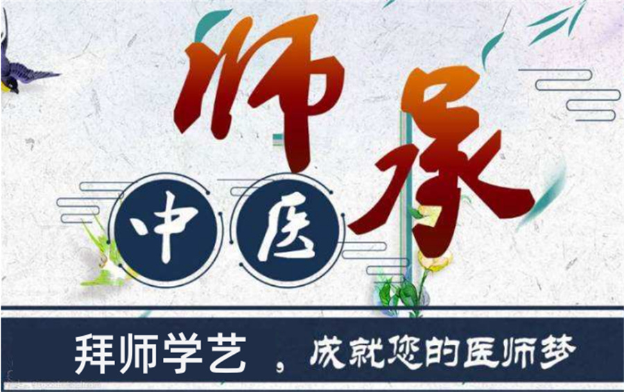 中医师承培训学校