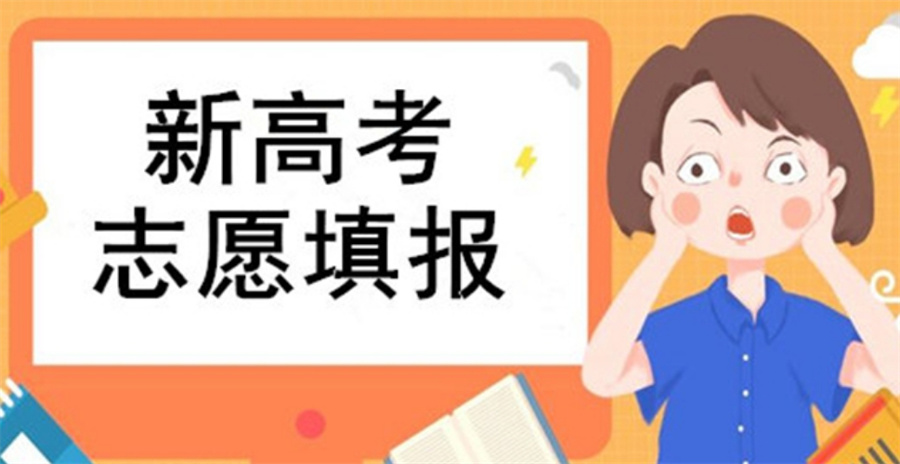 高考志愿填报指导机构