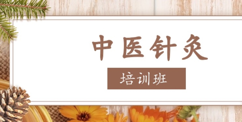 中医针灸考证培训机构