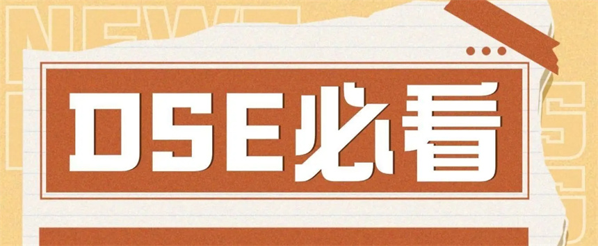 dse教学辅导机构