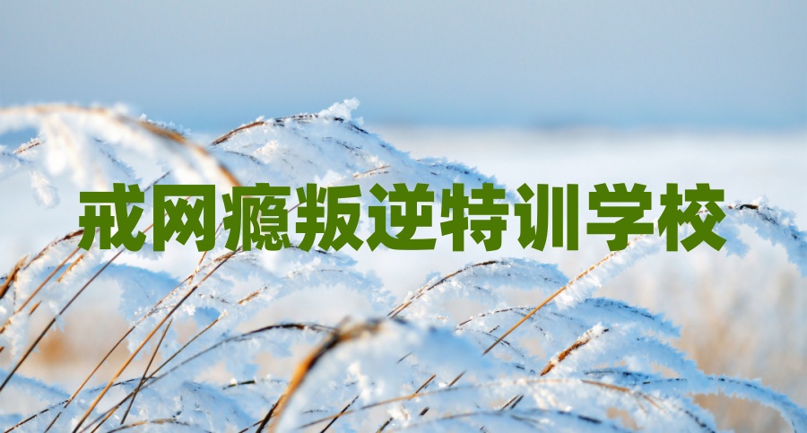 四川成都青少年戒网瘾叛逆学校
