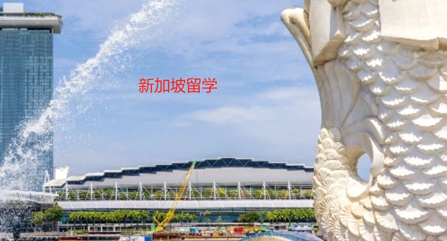 广州新加坡留学中介机构TOP10！这几家真的可以闭眼冲！
