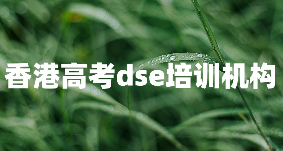 香港DSE培训辅导机构