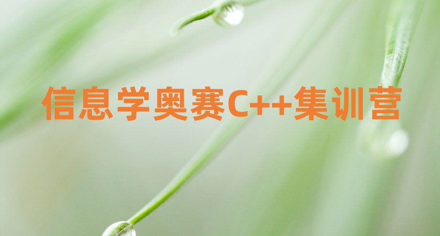 信息学奥赛C++集训营|从NOI到CSP，覆盖全阶段