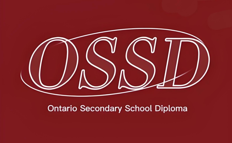OSSD3.jpg