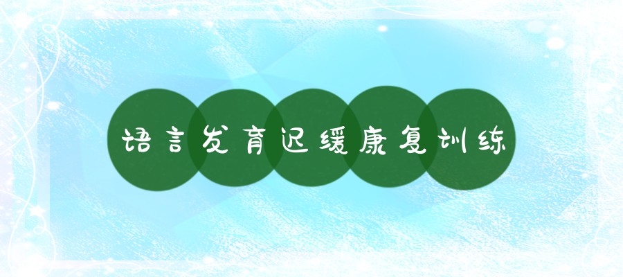 语言发育迟缓康复服务机构