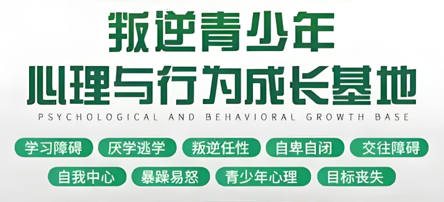 石家庄专门改造叛逆期不听话孩子的全封闭学校排名