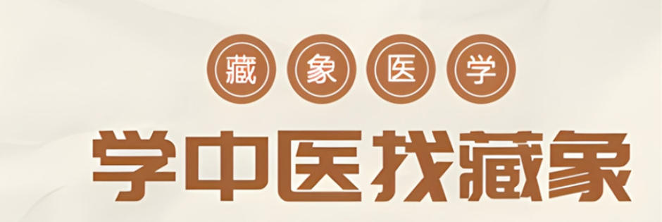 藏象中医师承培训班