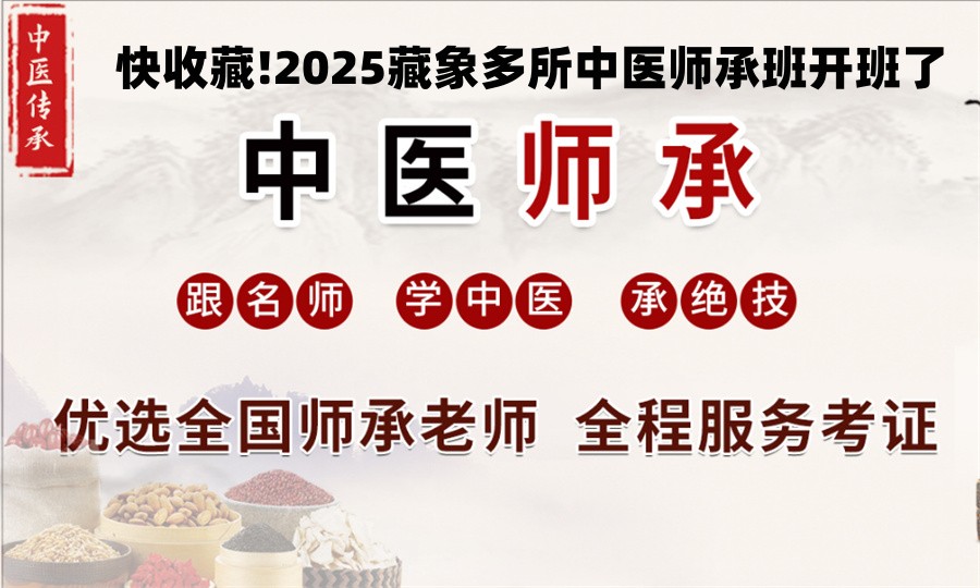 藏象中医师承培训班