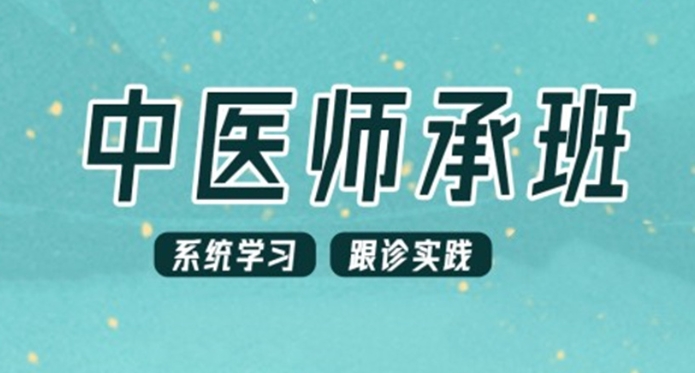 中医师承培训机构哪家好