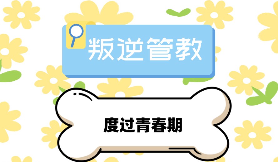 武汉哪里有招收叛逆期孩子学校?十大封闭式叛逆管教学校力荐.jpg