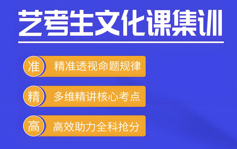 重庆高三艺考生文化全日制班课