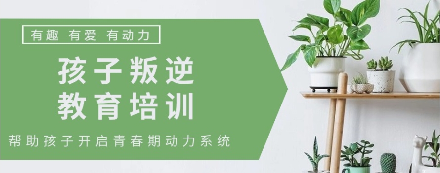 汇总武汉封闭式叛逆期孩子管教学校排名前十表单.jpg