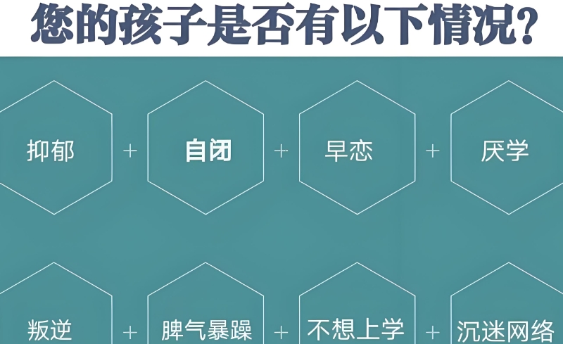 叛逆教育