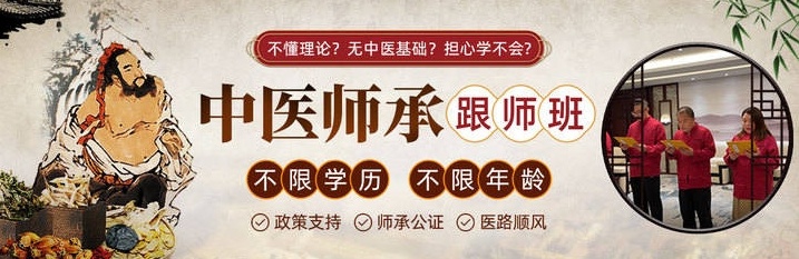 中医师承培训机构