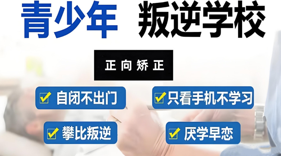 河北叛逆学校