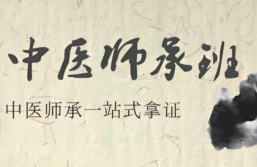 学中医师承比较牛的十大培训机构2026一览人气排行榜.jpg 学中医师承比较牛的十大培训机构2026一览人气排行榜.jpg