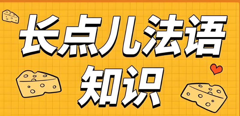 小语种培训