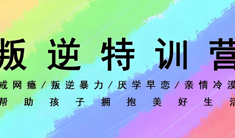 叛逆特训营
