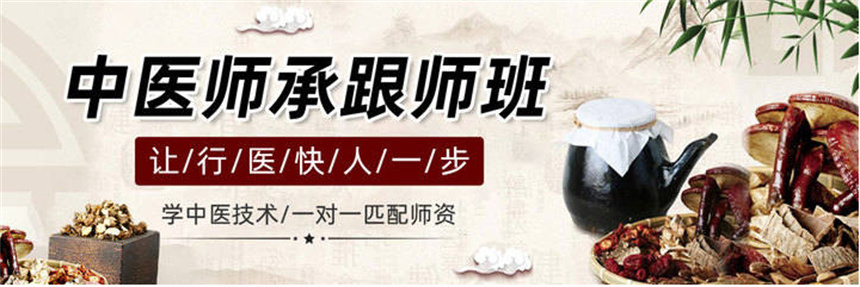 中医师承培训学校