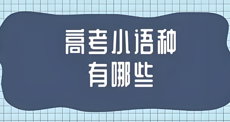 高考小语种