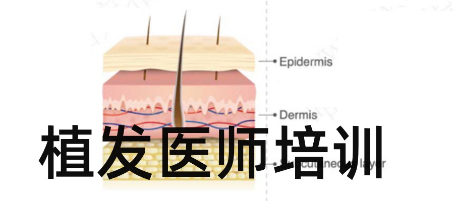 轻医美头发种植技术培训班