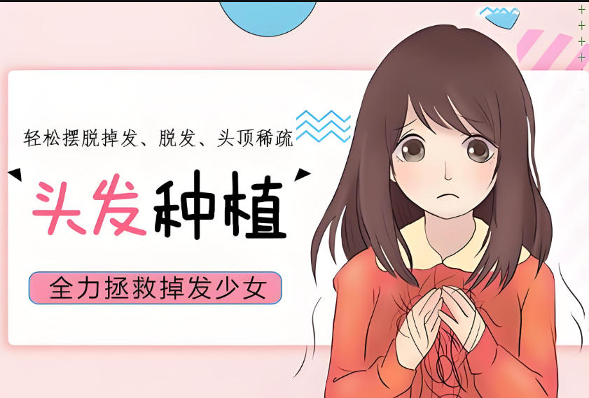 轻医美头发种植技术培训班