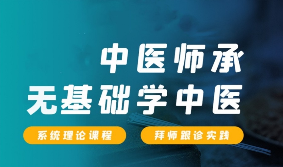 中医师承培训机构哪个靠谱