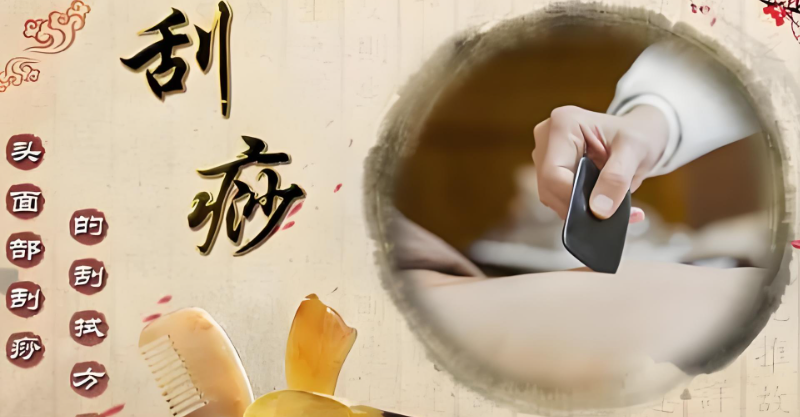 中医刮痧培训