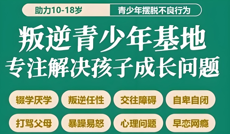 叛逆特训学校