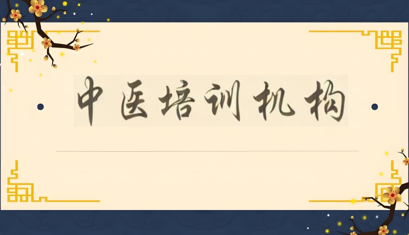 中医培训