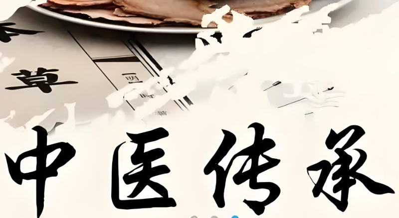 中医培训