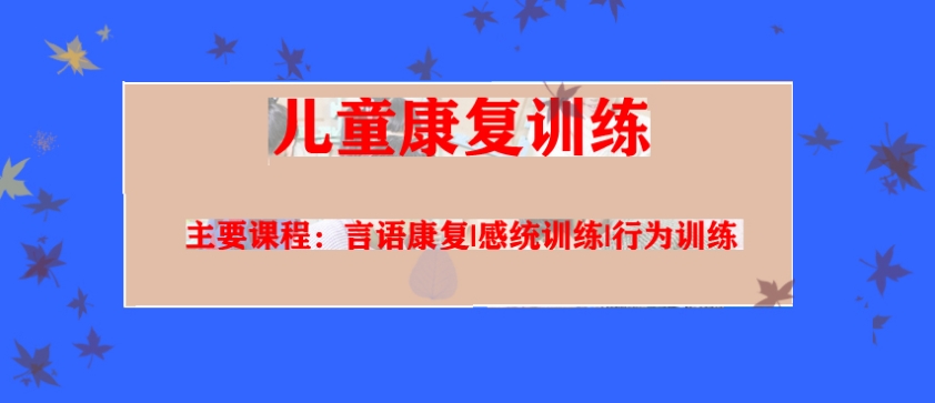 成都孤独症孩子干预训练机构