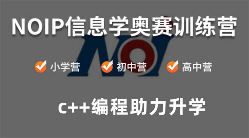 十大信息学奥赛noip编程培训