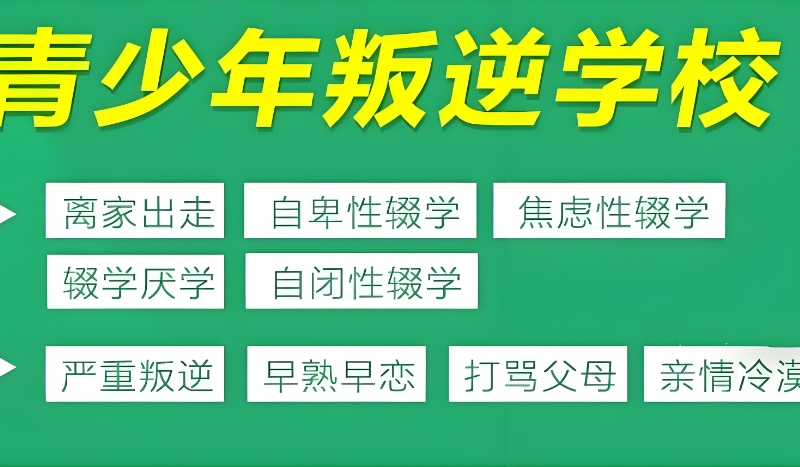 叛逆学校 叛逆学校