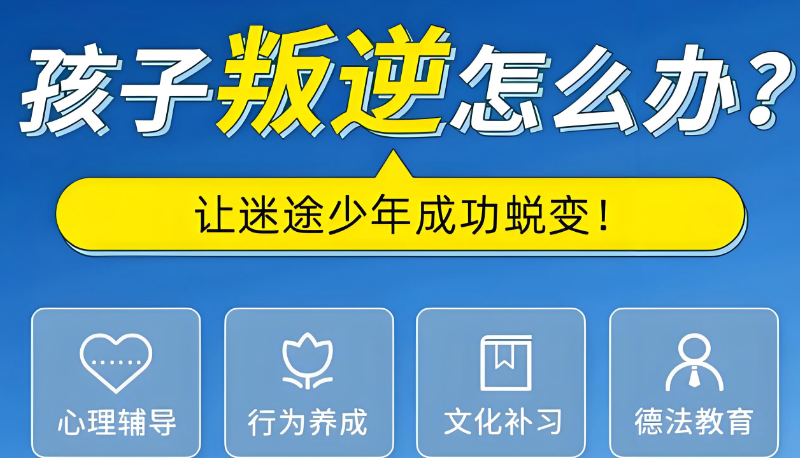叛逆青少年 叛逆青少年