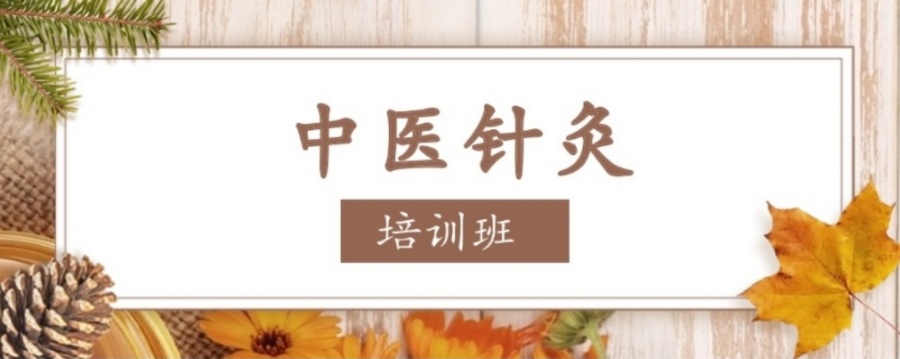 中医推拿按摩培训机构