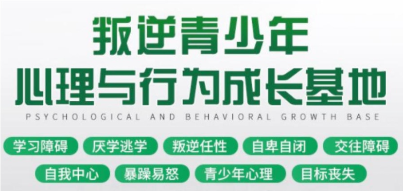 2025十大排名广州叛逆孩子全封闭教育学校十大名单一览