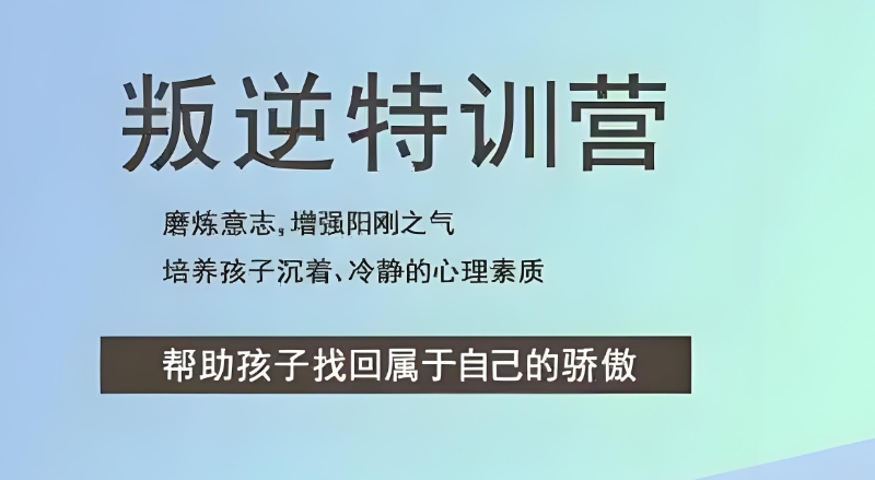 叛逆学校 叛逆学校