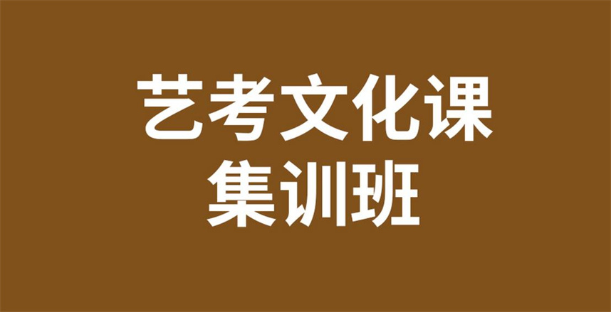 高三艺考文化课集训班排名公布