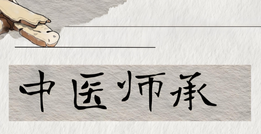 Top10更新版国内排名好的中医师承培训机构2026一览十大名单.jpg
