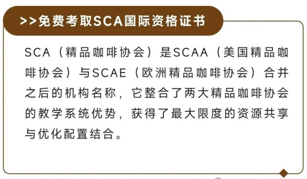 国际SCA咖啡精修班
